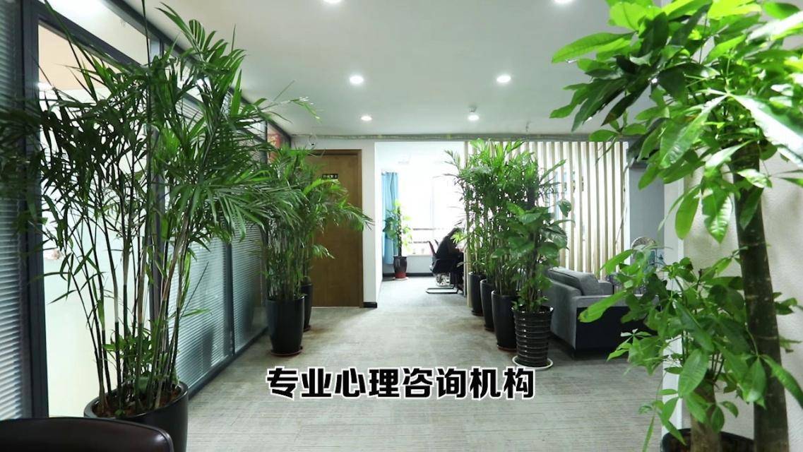 领先心理咨询：心理情感咨询,情感婚姻咨询,青少年心理咨询,心理咨询婚姻,咨询夫妻婚姻专业服务推荐