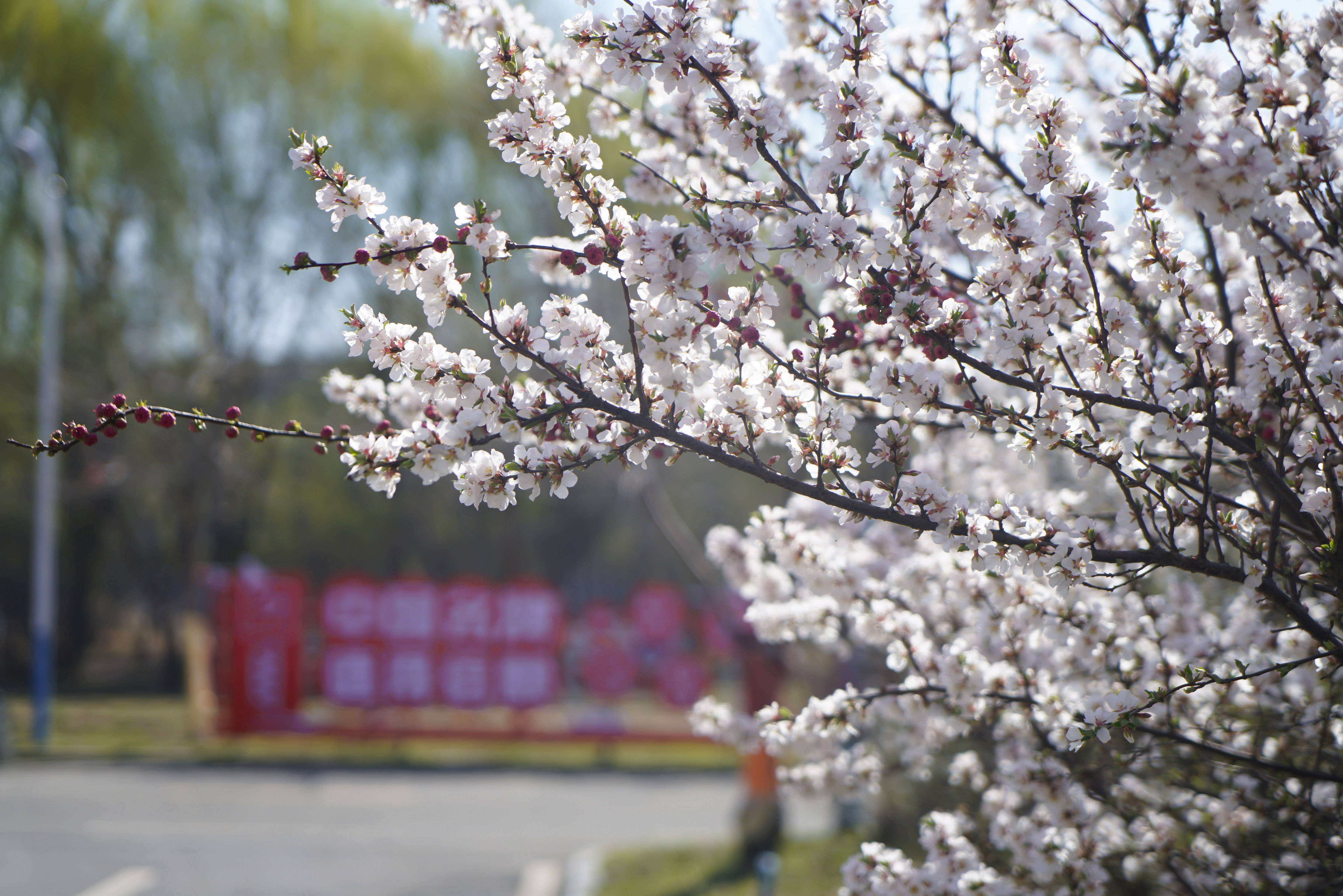 沈阳新华电脑学校电竞学费标准Top10
